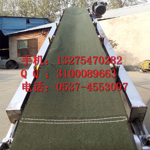 皮带秤果蔬装车输送机 精准高效，赋能现代农业物流